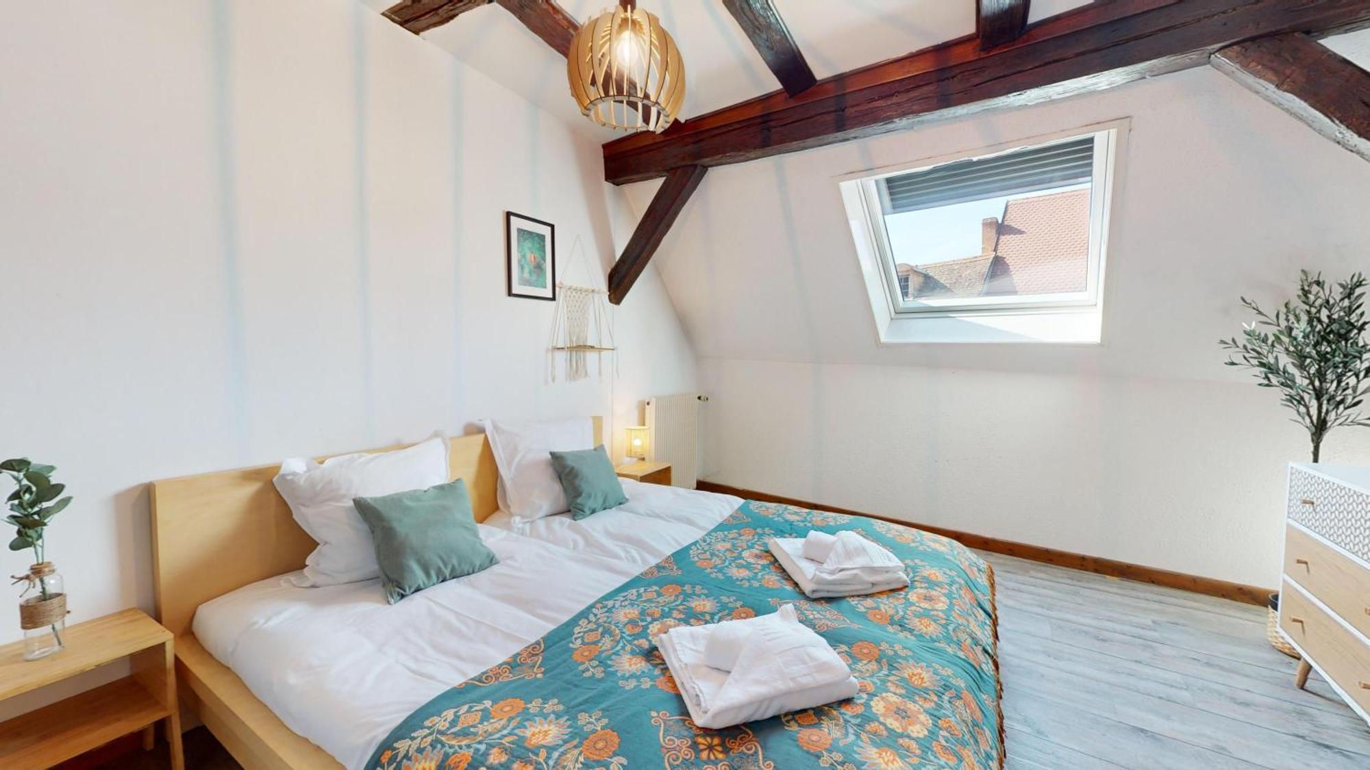 Le Petit Chez Vous Apartamento Colmar Exterior foto